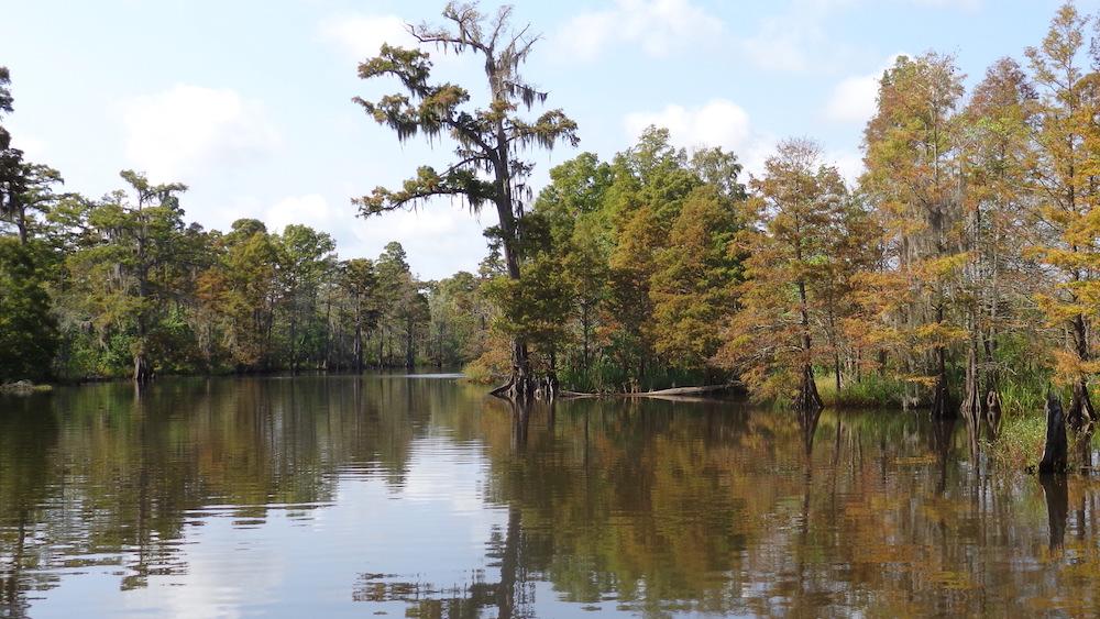 View of the Neches River from a boat ride tour